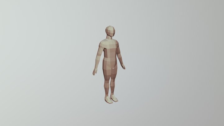 Human Body Base Mesh 3D Model