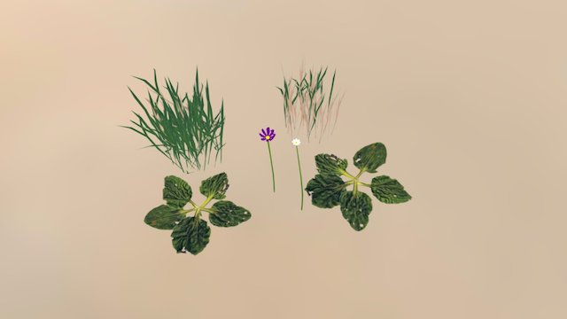 Weeds and grass 3D Model