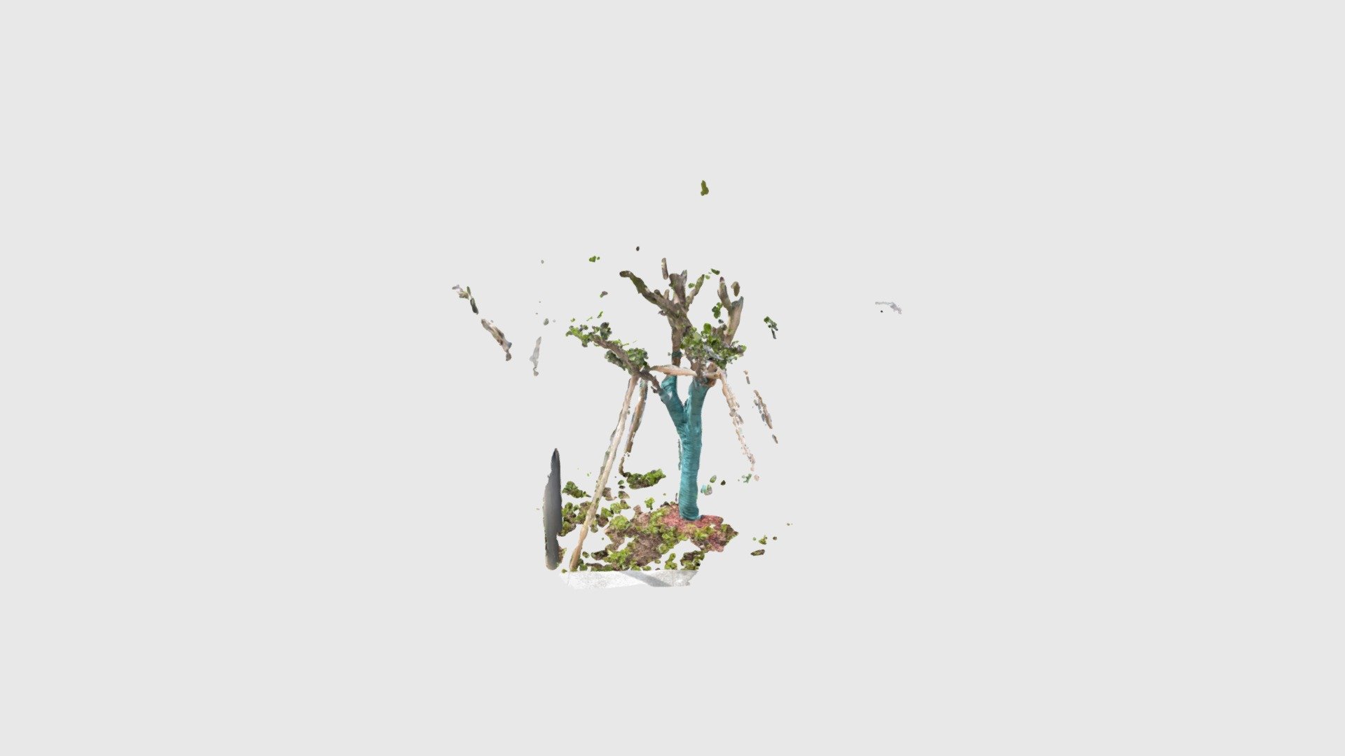 tree1