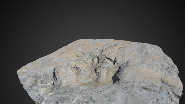 Impronta Dinosauro 3 Dita 3D Model