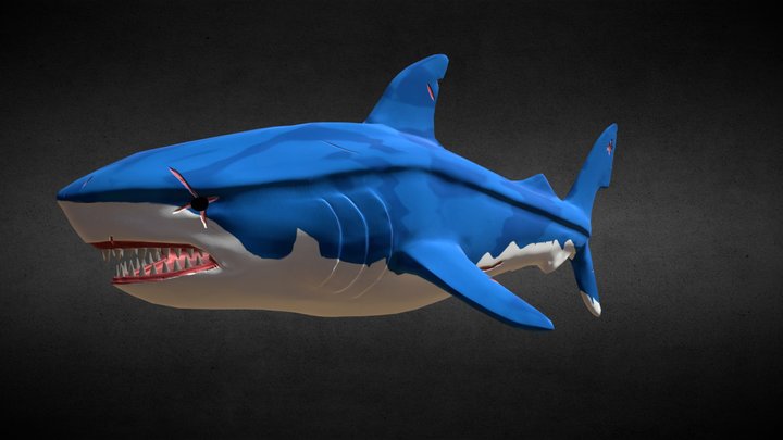 Shark 3D Model