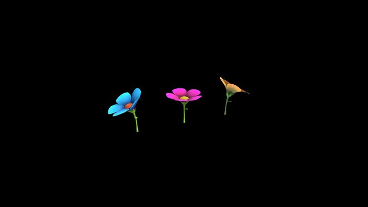 Flores 3D Model
