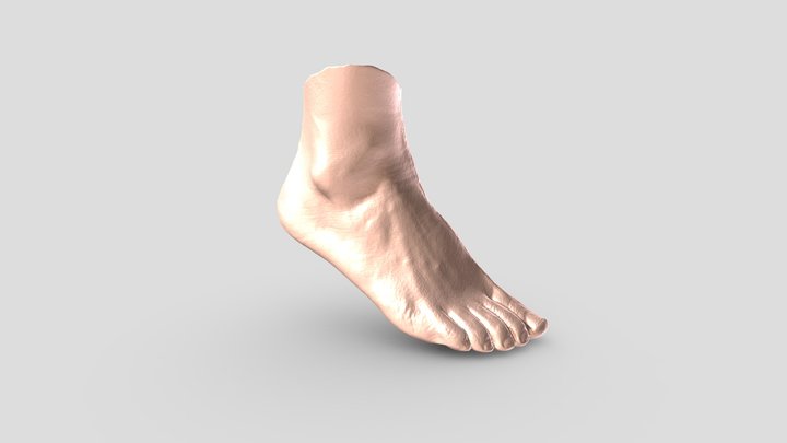foot reference