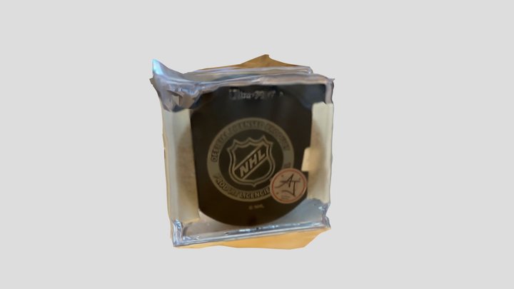 NHL Puck