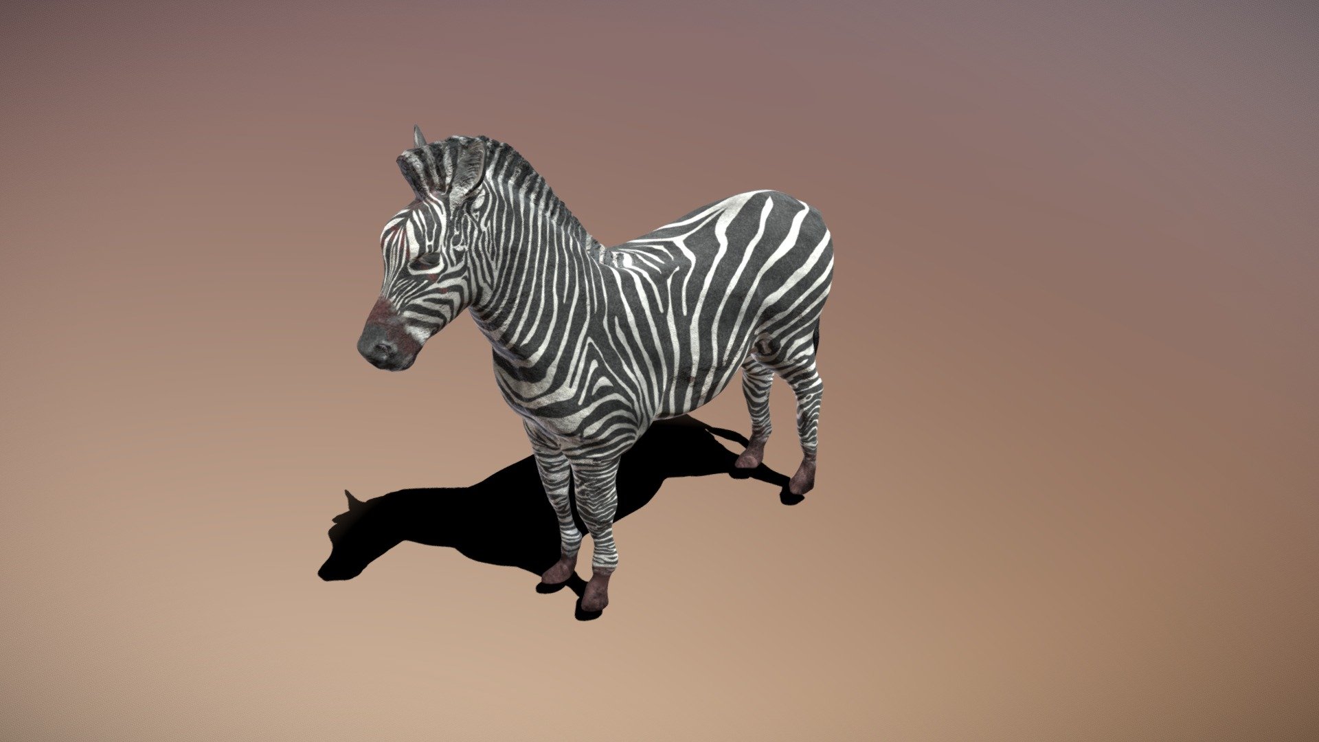 Field Zebra - 3D model by Jaedan_Westenberg [7e3db6d] - Sketchfab