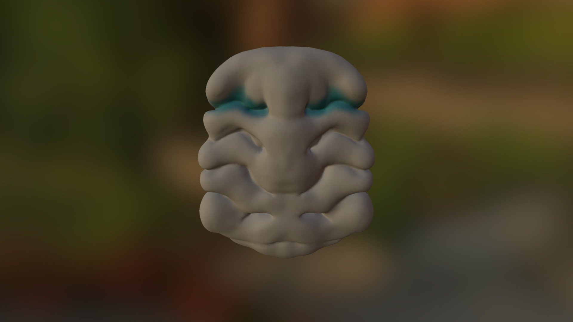 HYPERMECASPIS