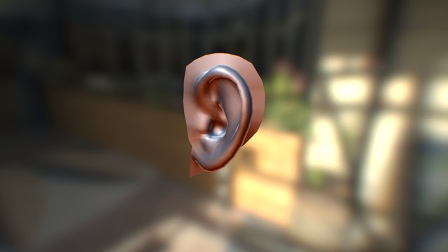 Ear Reference V02 3D Model