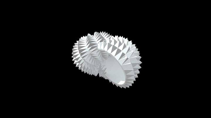 Shell 01 3D Model