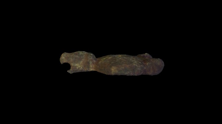 Medieval Zoomorphic or Animal Headed terminal 3D Model