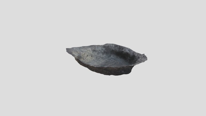 Oak plank lined pit at Bronze Age fulacht fia 3D Model