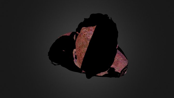 Tony 3D Model