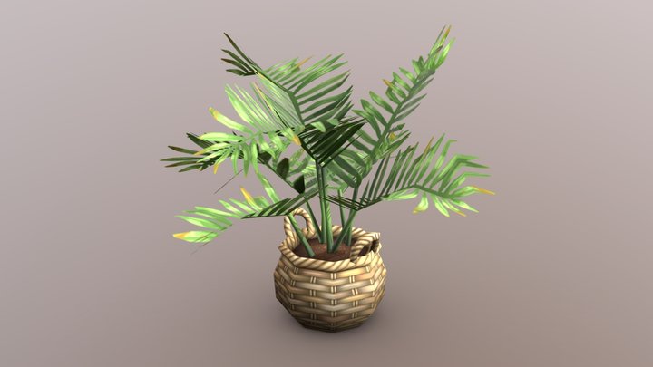 Areca Palm 3D Model