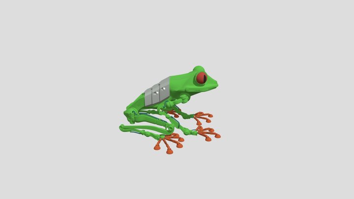 Krass Frog Kursovoj Draft 3D Model