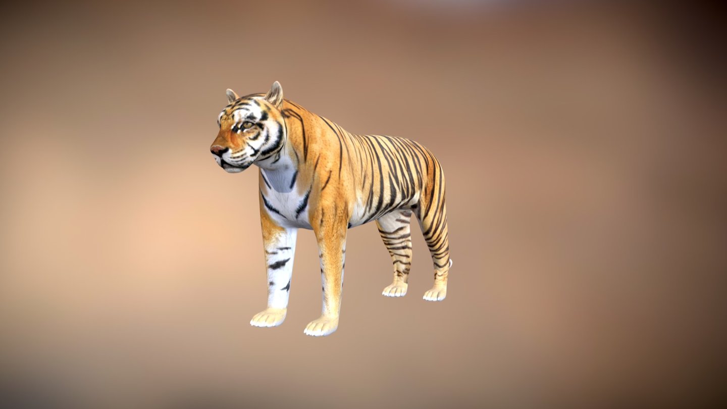 Siberian Tiger with a camera. 3D Rendering. 23187677 Stock Photo