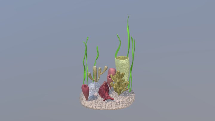Sea Slug and Corals 3D Model