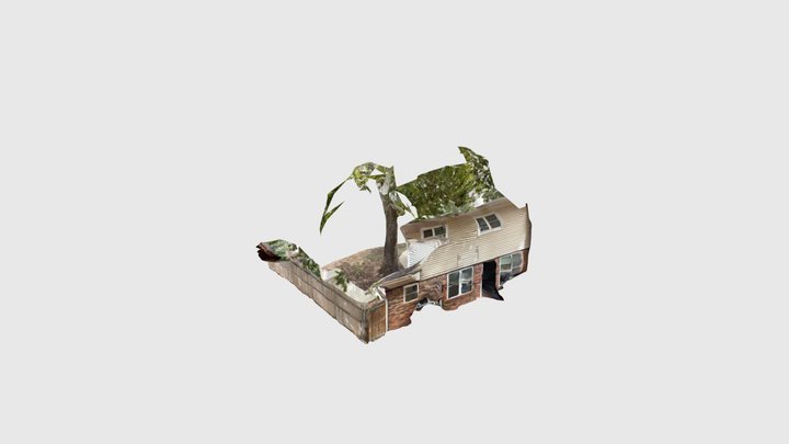 backyard 3D Model