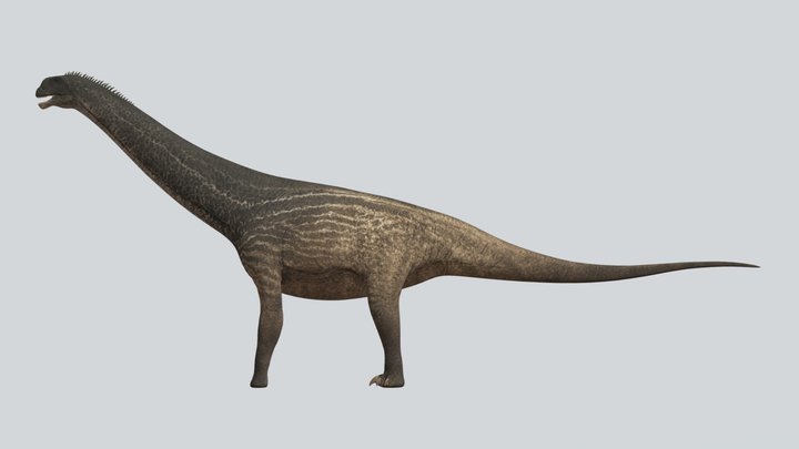 Accurate Camarasaurus lentus reupload – Free 3D Model STL