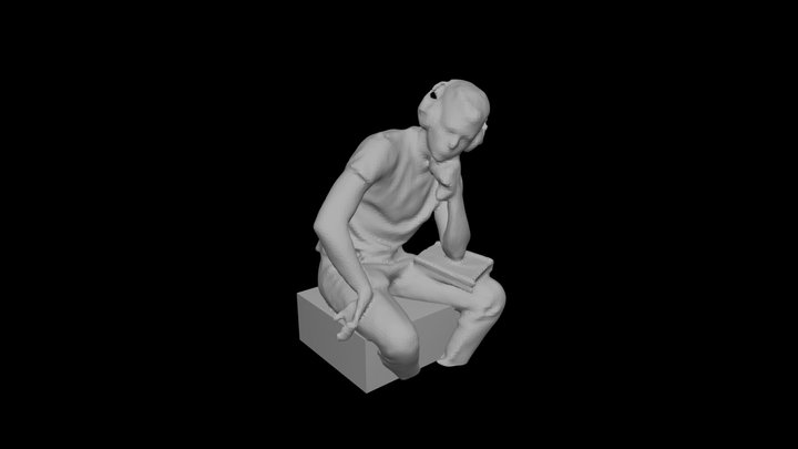 Roi 3D Model