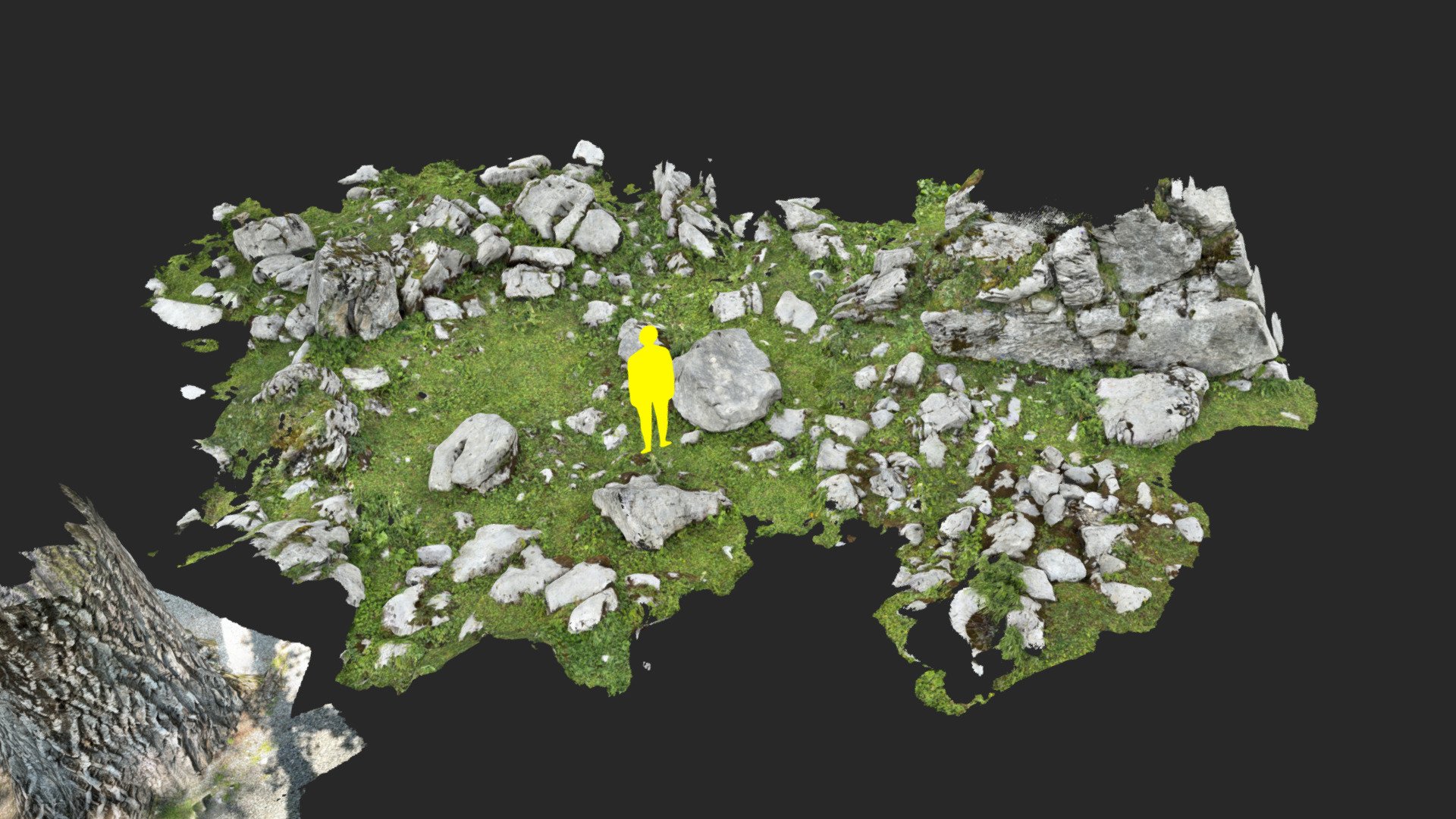 Rocks Grassy Lidar Scan Download Free 3D model by zexell [7e5755c