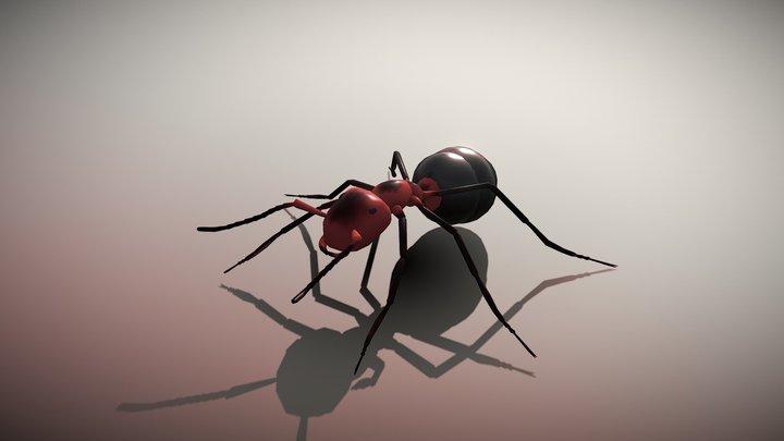 Ant 3D Model