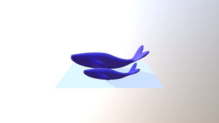 Cetaceoo 3D Model