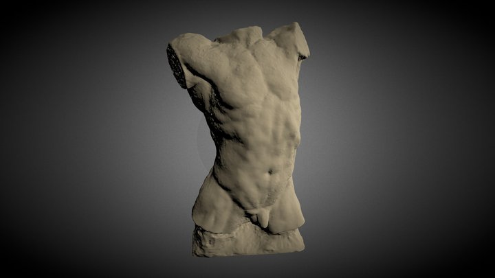Torso of the Falling Man 3D Model