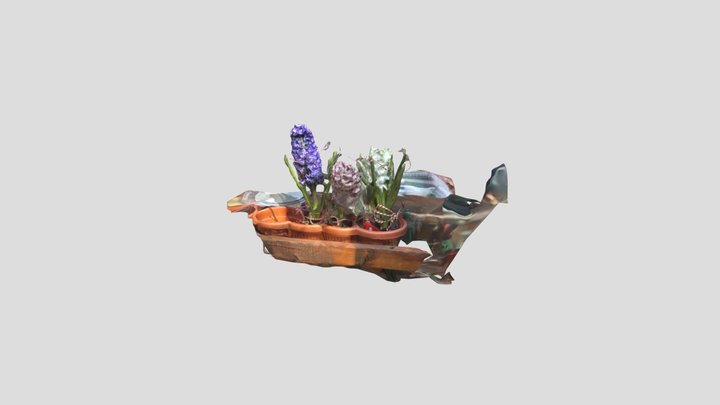 Abound_20260228-1537 3D Model