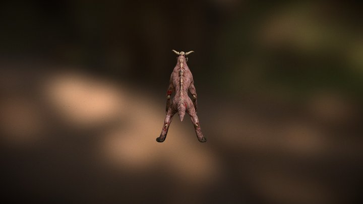Paranormal Beast 3D Model