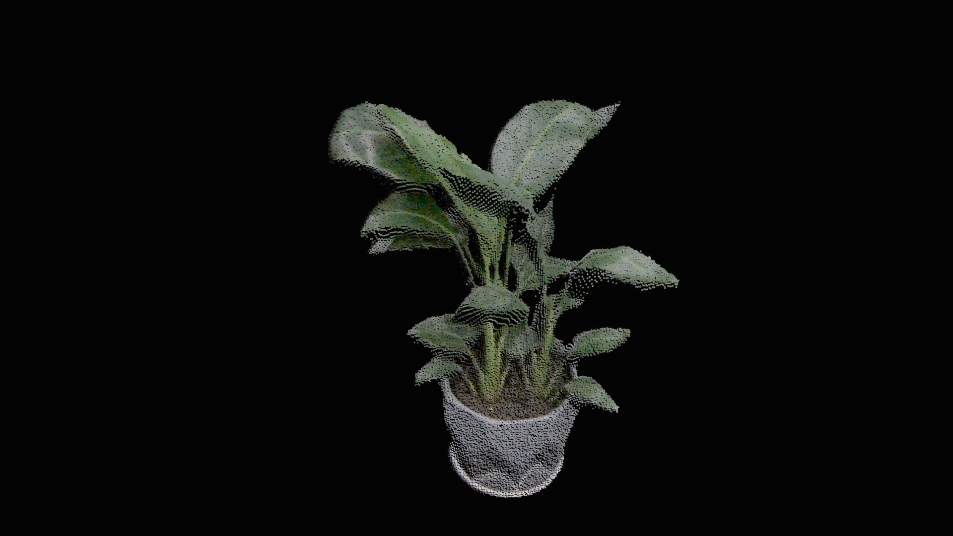 Plants captured by Okulo P1 RGBD Camera — Sketchfab embed 3D viewer
