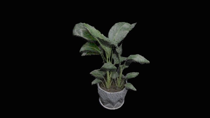 Plants captured by Okulo P1 RGBD Camera – Modello 3D gratuito STL