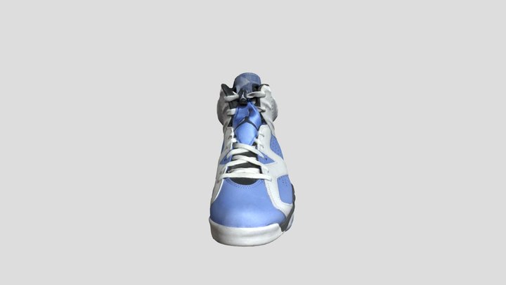 Air Jordan 6 polycam scan 3D Model