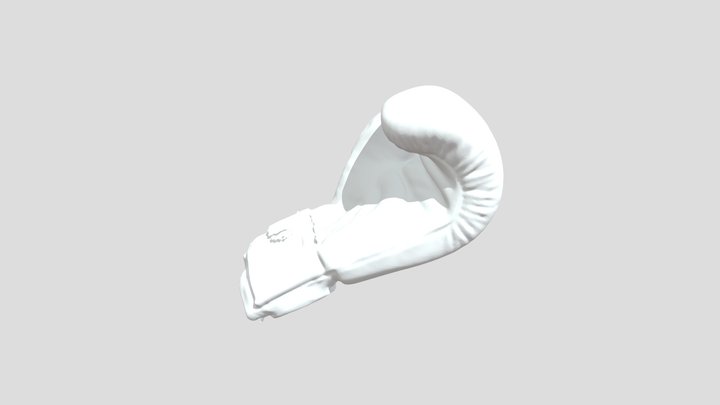 Glove4Website 3D Model