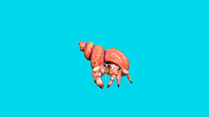 Hermit Crab – Modello 3D gratuito STL
