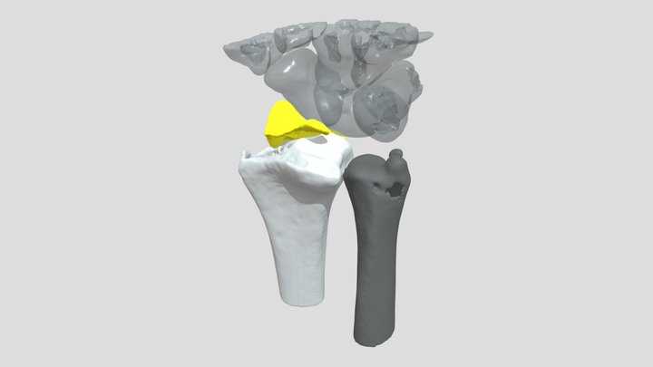 23 POST SERIE 03 3D Model