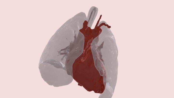 Lungs and Heart Segmentation 3D Model