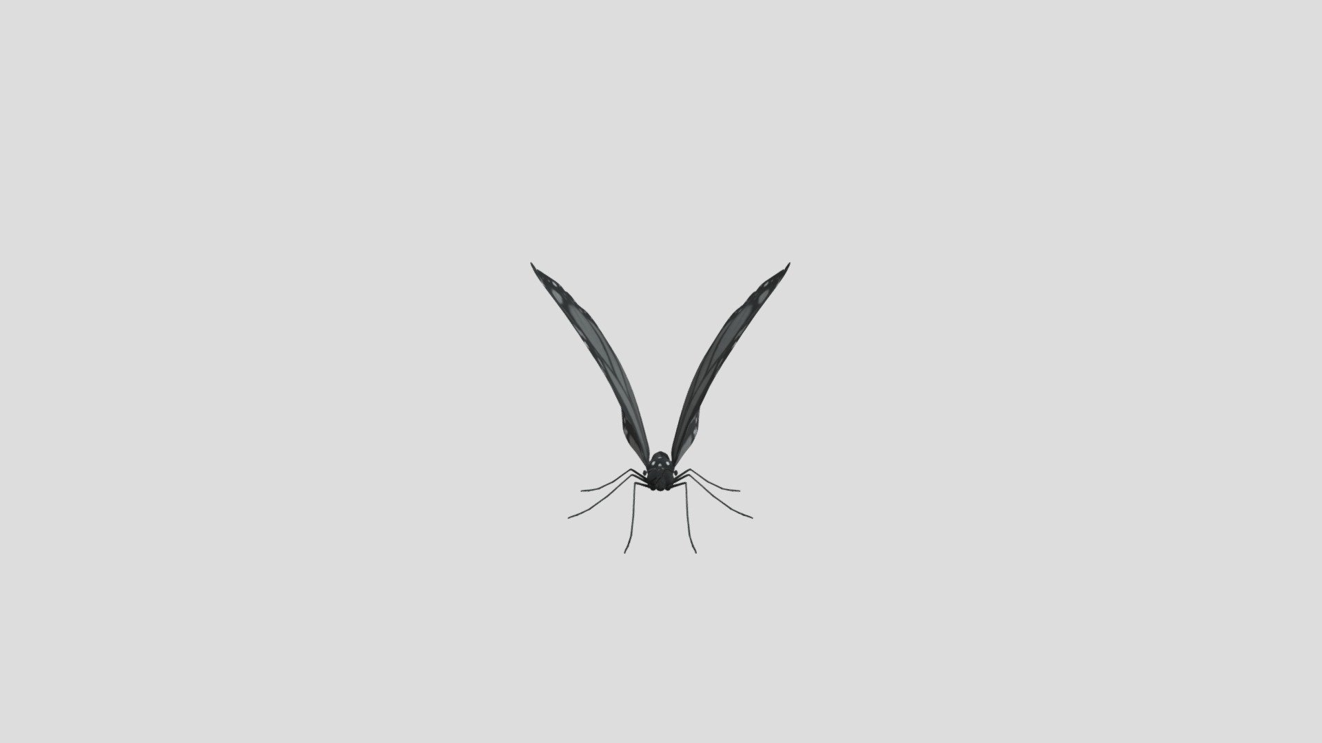 Grey Impartiality Butterfly