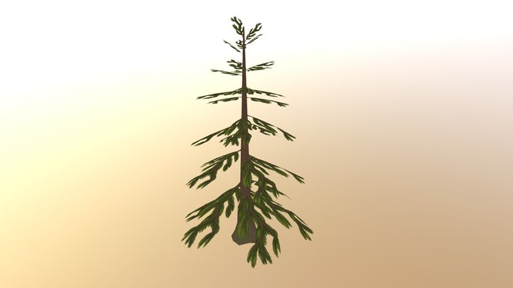 Low Poly Pine Tree 3D Model