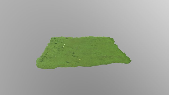 Lake Pupuke 3D Model