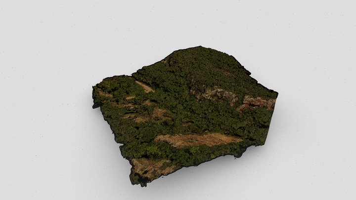 Pedra da Letra do Sabá I 3D Model