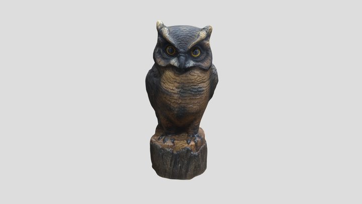 W23-Capstone - 3D Scan - Owl 3D Model