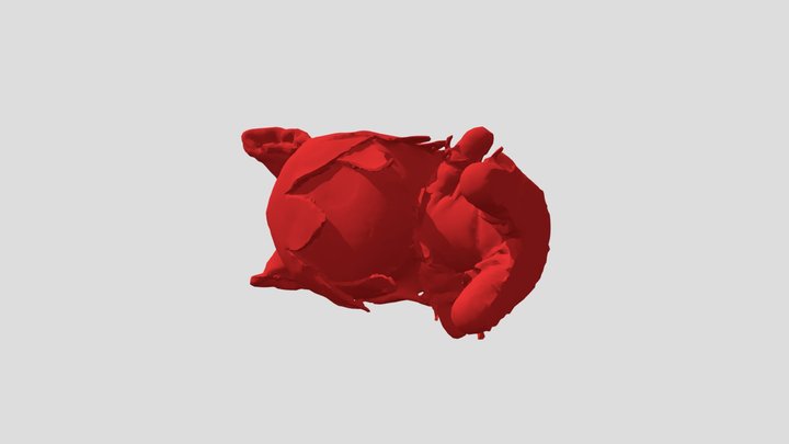 ImageToStl_com_sketchfab_2022_11_24_03_15_13 3D Model