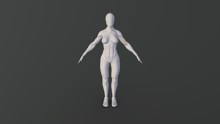 Body Test 3D Model