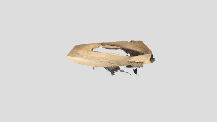 shoe 3D Model