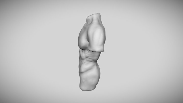 PECHO HOMBRE 3D Model