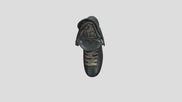 salvo 3D Model