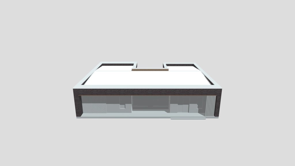 Modern One Story House