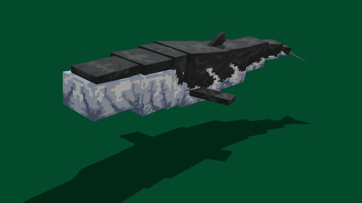 Fin Whale 3D Model