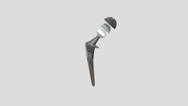 protesequadril 3D Model
