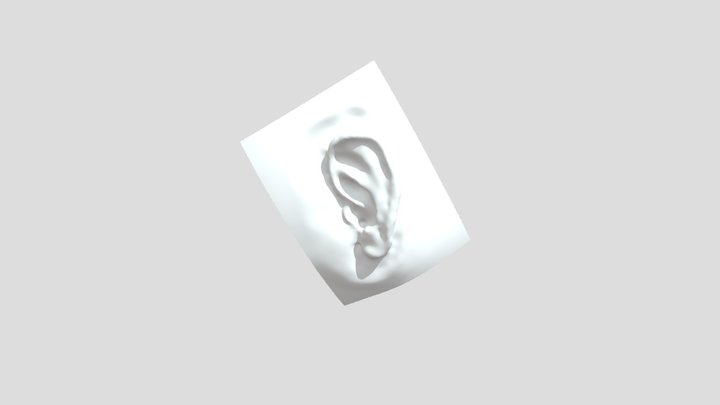 Ear 3D Model