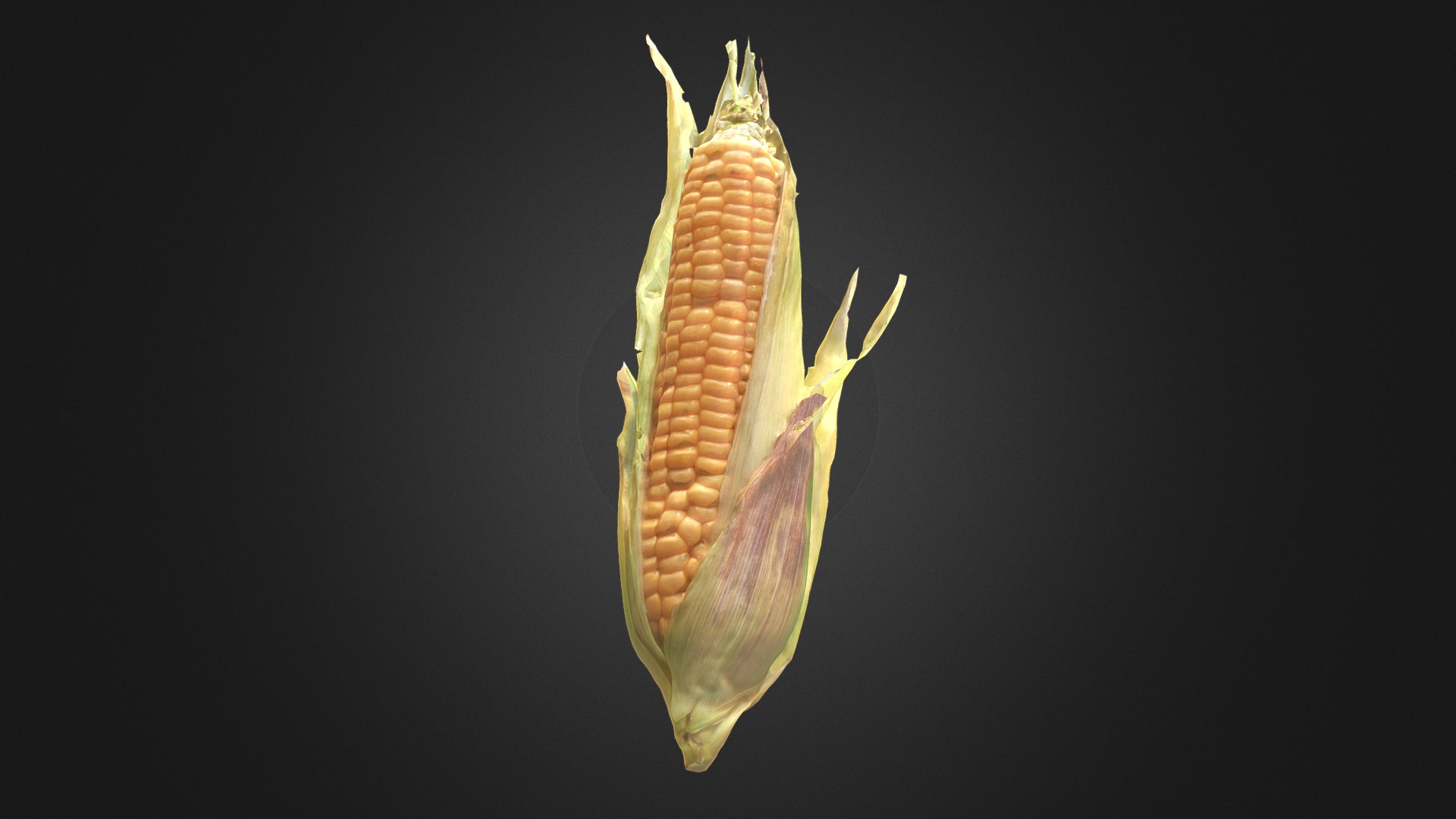 3D model Corn - This is a 3D model of the Corn. The 3D model is about a close up of a fish.